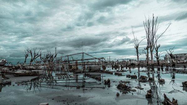 Natural Disasters Cause Hundreds of Billions in Damages
